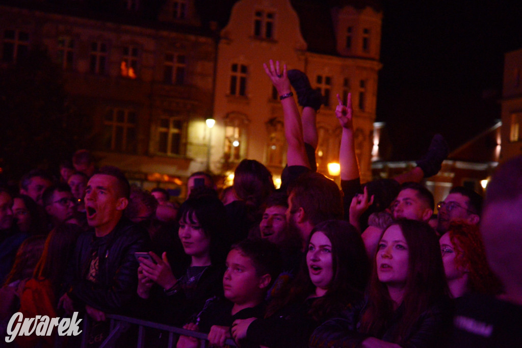 Gwarki 2022 - Nocny Kochanek