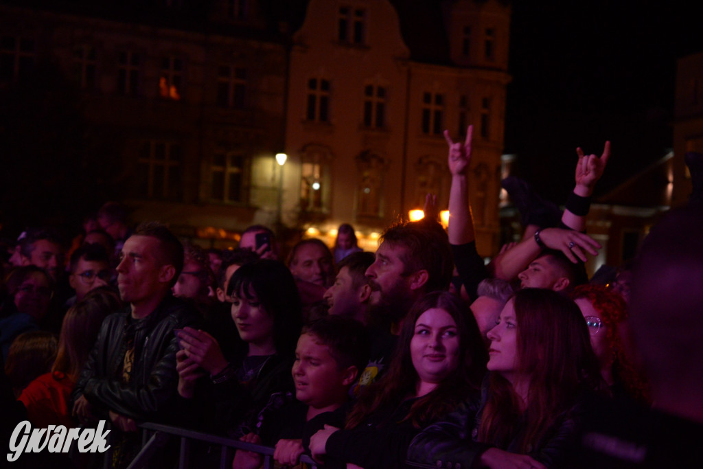 Gwarki 2022 - Nocny Kochanek