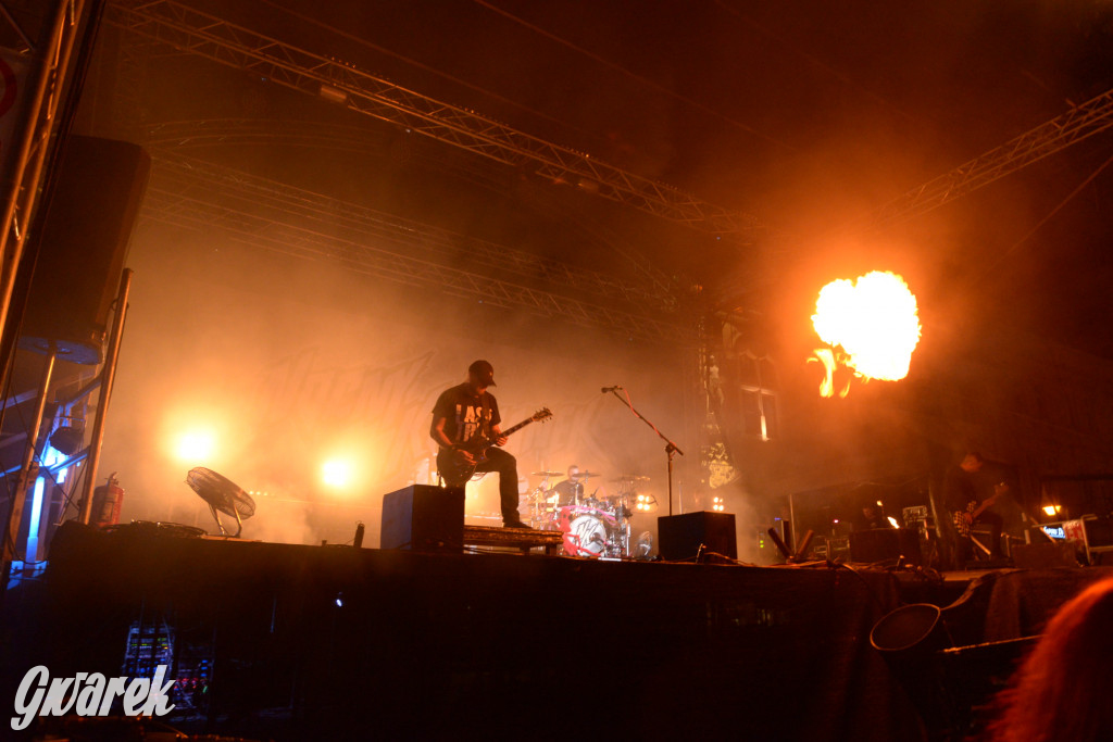 Gwarki 2022 - Nocny Kochanek