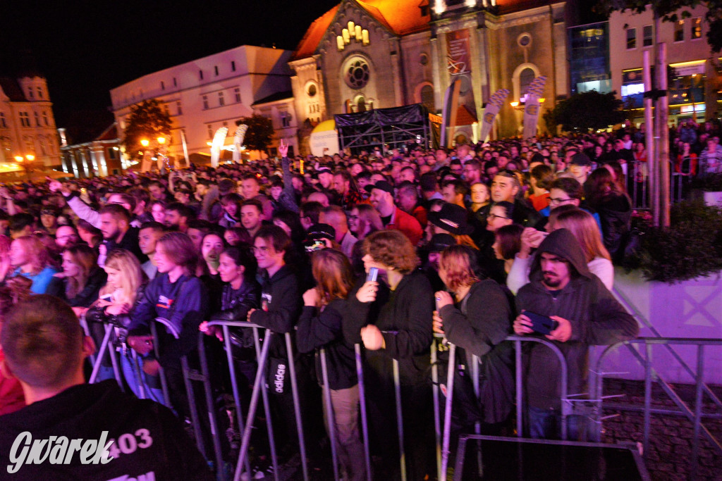 Gwarki 2022 - Nocny Kochanek