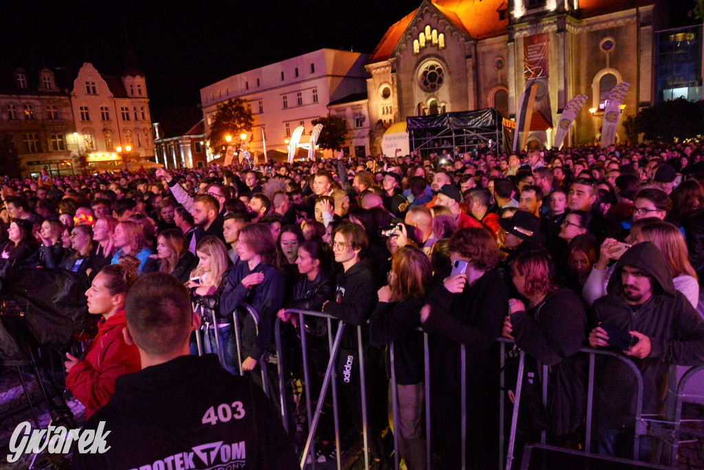Gwarki 2022 - Nocny Kochanek