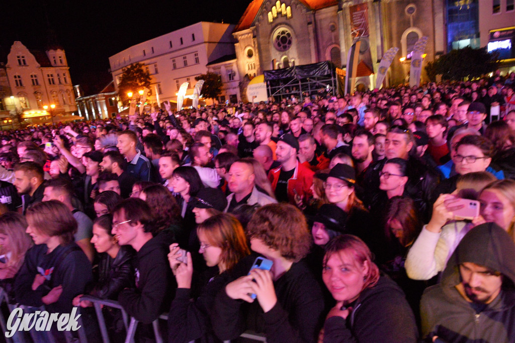 Gwarki 2022 - Nocny Kochanek