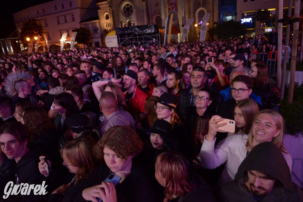 Gwarki 2022 - Nocny Kochanek