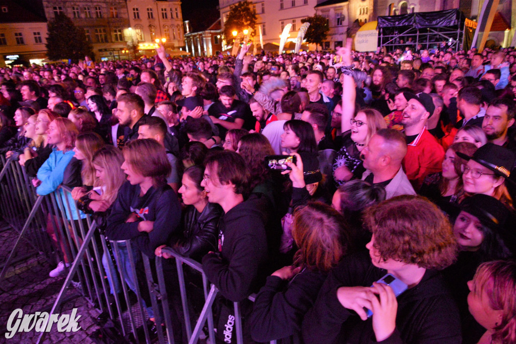 Gwarki 2022 - Nocny Kochanek