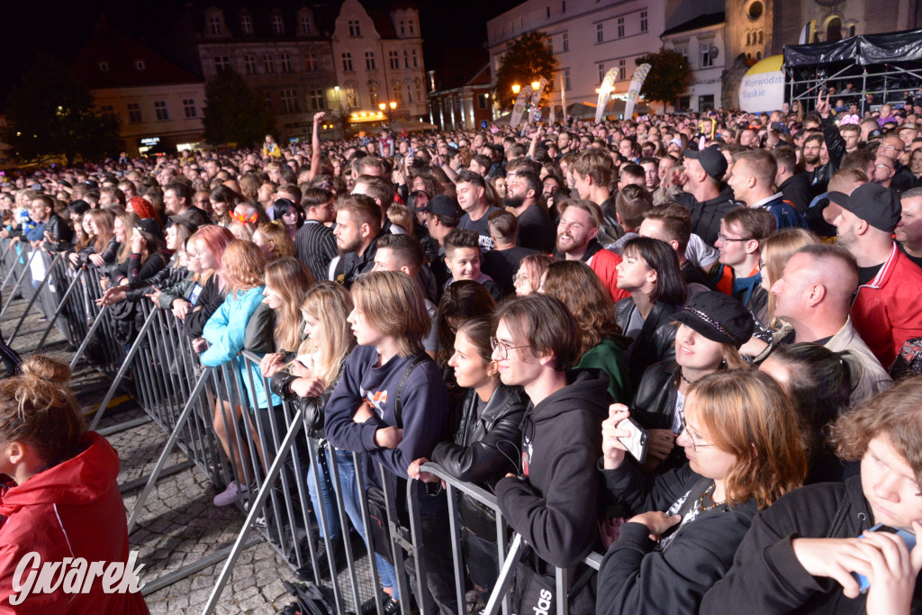 Gwarki 2022 - Nocny Kochanek