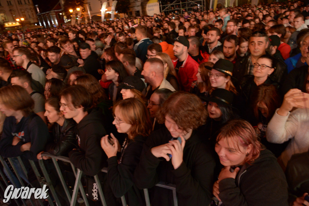 Gwarki 2022 - Nocny Kochanek