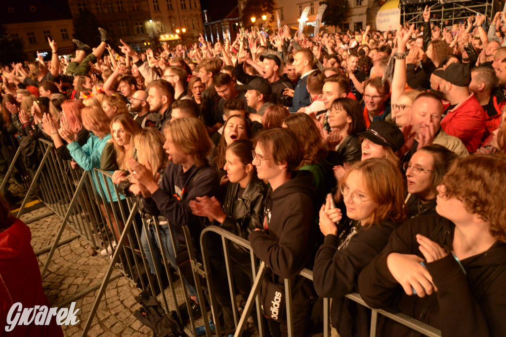 Gwarki 2022 - Nocny Kochanek