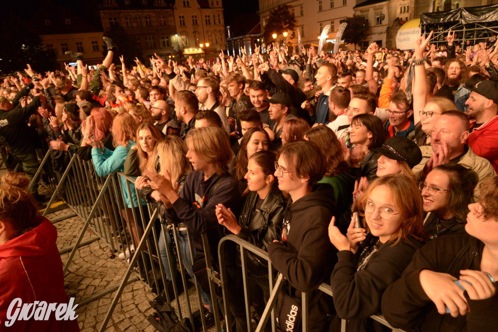 Gwarki 2022 - Nocny Kochanek