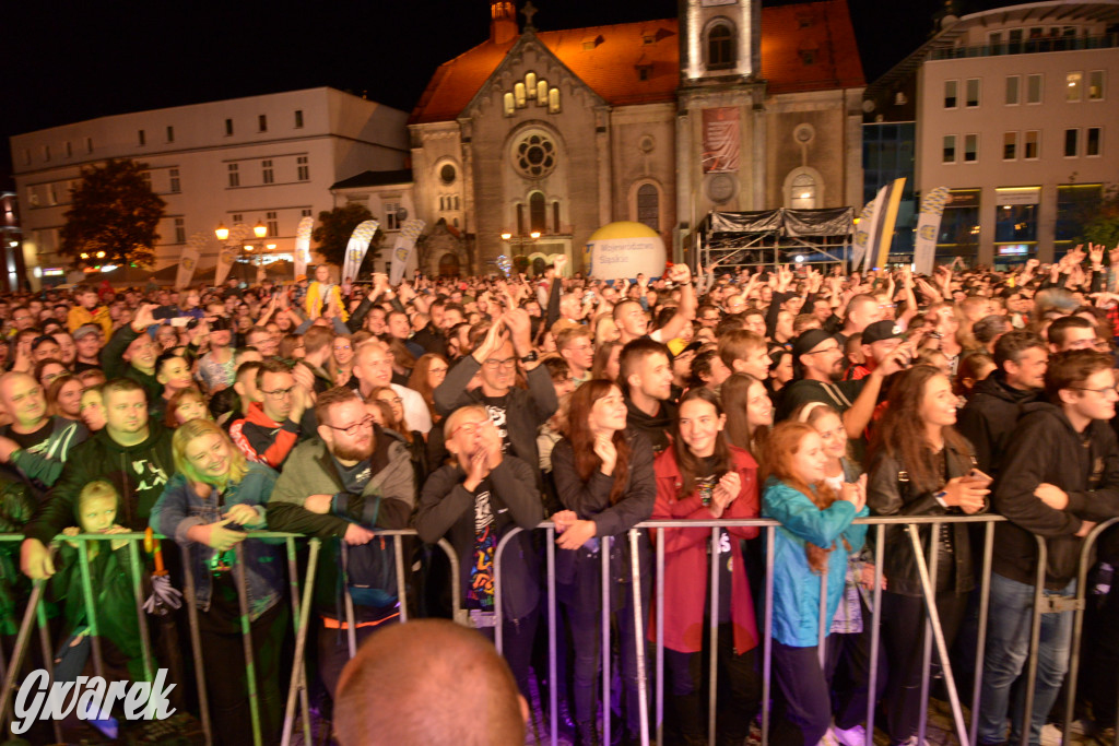 Gwarki 2022 - Nocny Kochanek