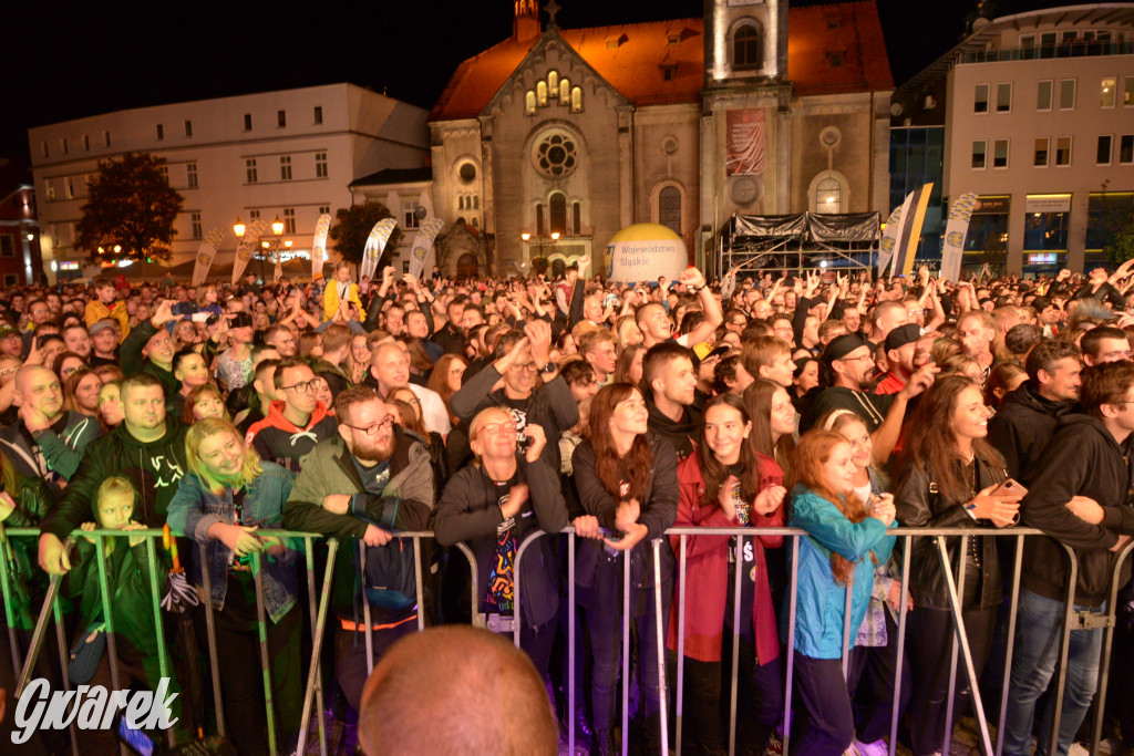 Gwarki 2022 - Nocny Kochanek