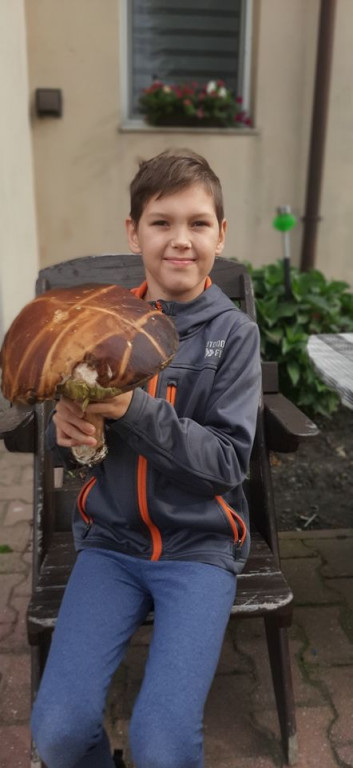 Udane grzybobranie. Jeden grzyb ważył 1,2 kg!
