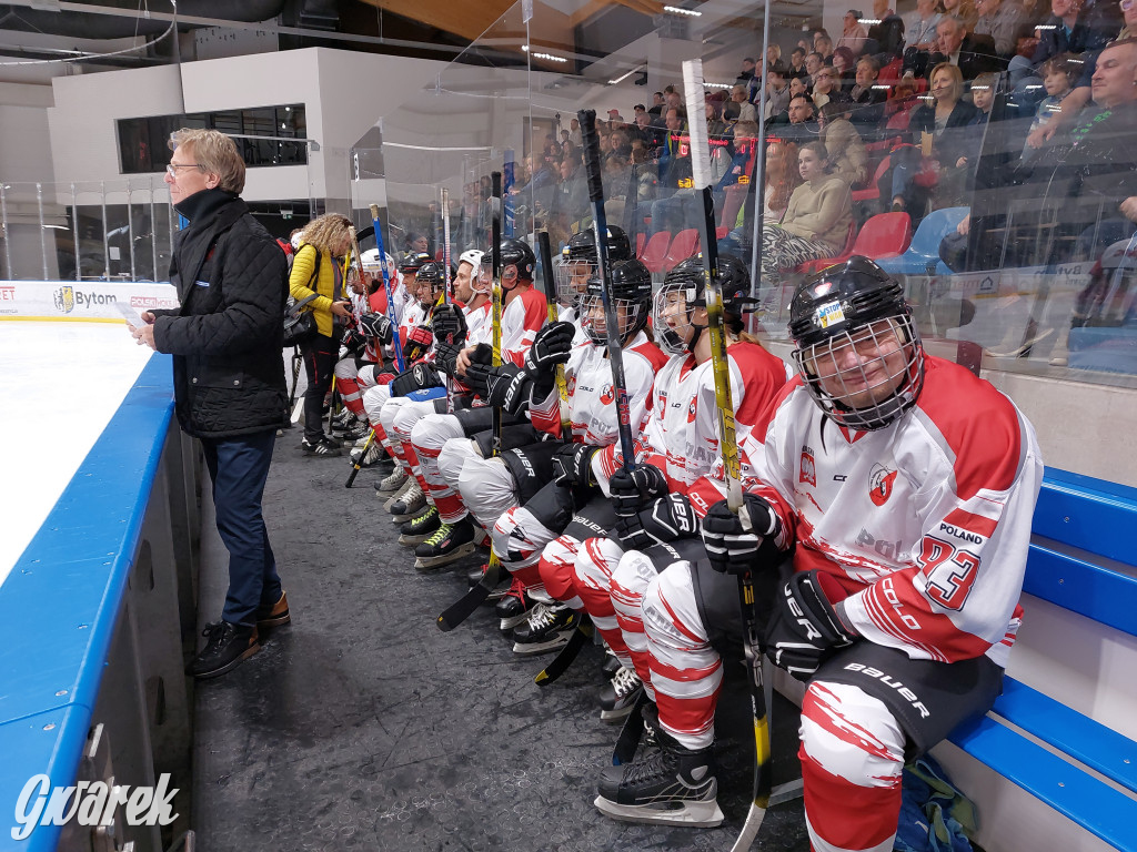 Mecz charytatywny. Na lodzie Czerkawski i Wołosz