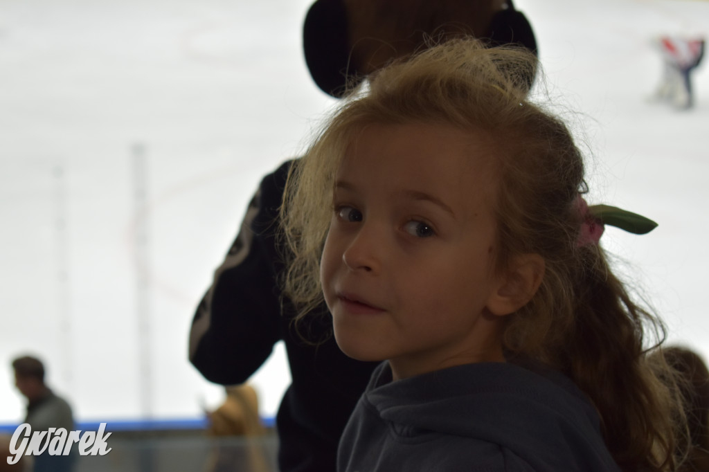 Mecz charytatywny. Na lodzie Czerkawski i Wołosz