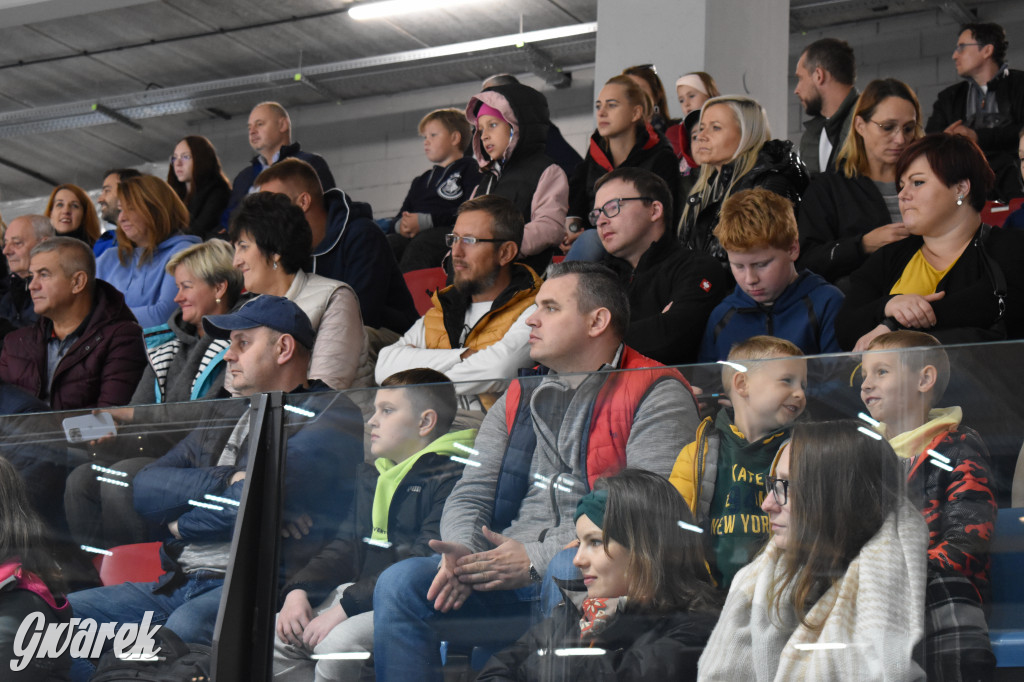 Mecz charytatywny. Na lodzie Czerkawski i Wołosz