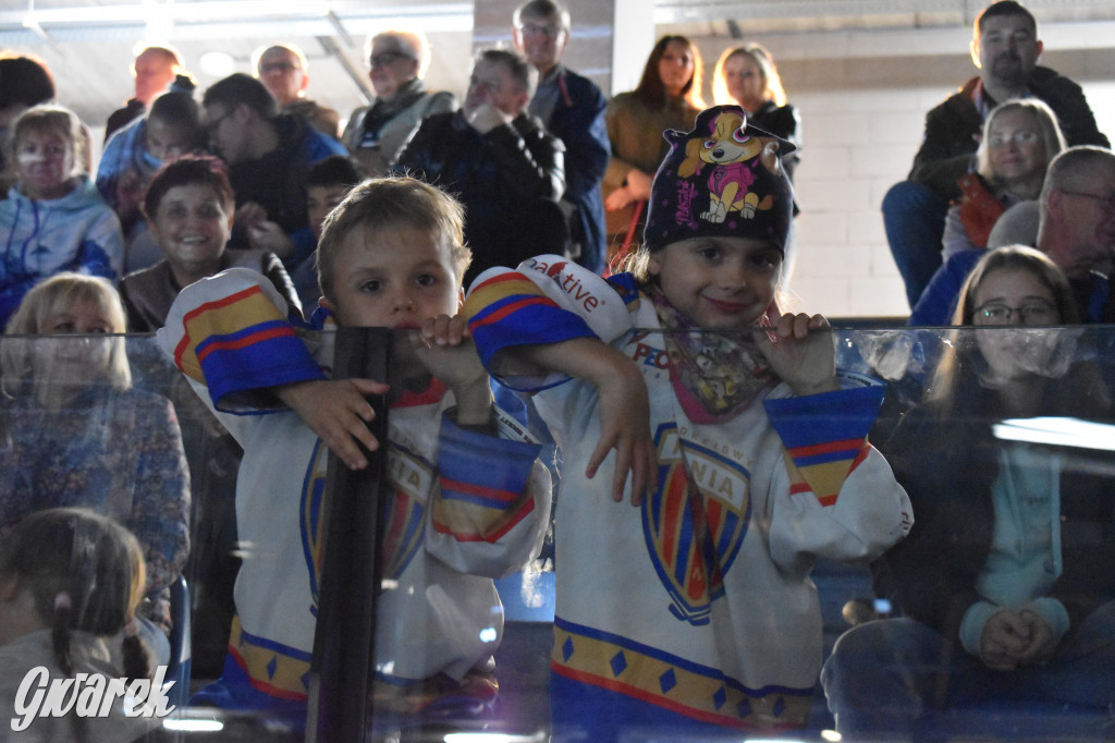Mecz charytatywny. Na lodzie Czerkawski i Wołosz