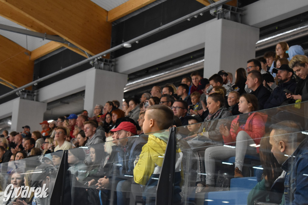 Mecz charytatywny. Na lodzie Czerkawski i Wołosz