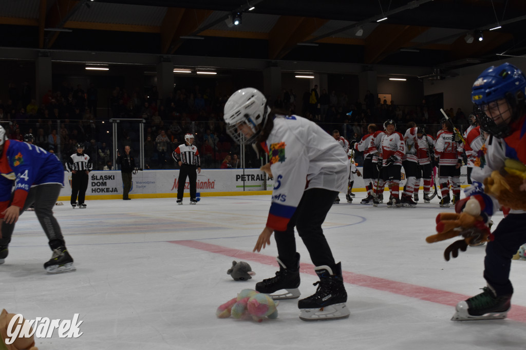 Mecz charytatywny. Na lodzie Czerkawski i Wołosz