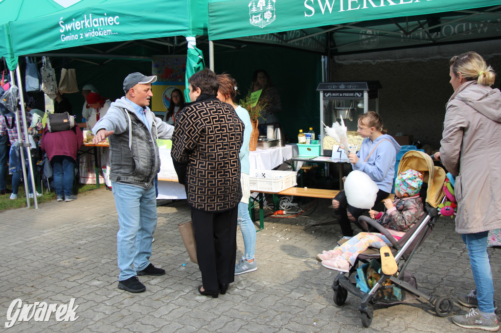 Piknik charytatywny w Nowym Chechle