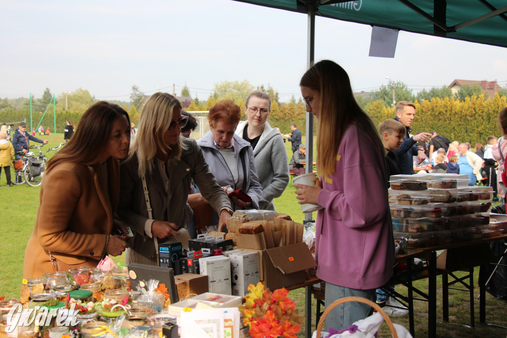 Piknik charytatywny w Nowym Chechle