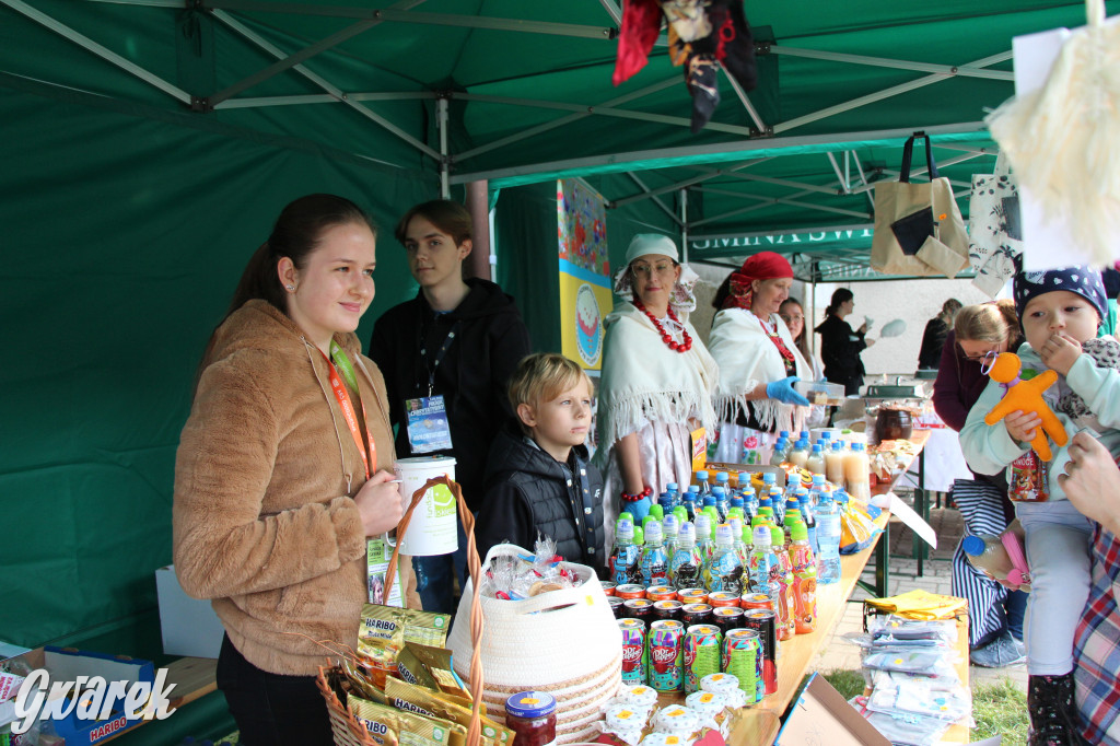 Piknik charytatywny w Nowym Chechle