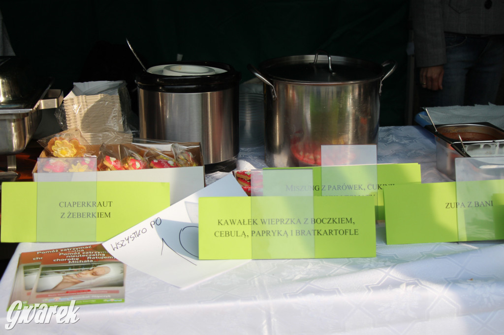 Piknik charytatywny w Nowym Chechle