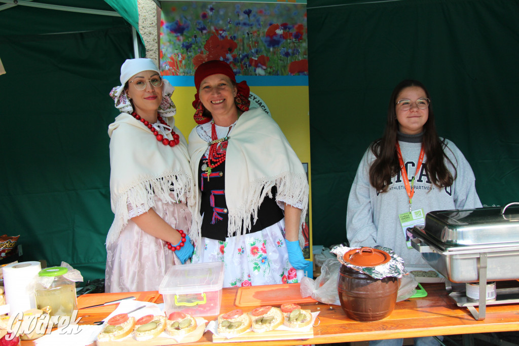 Piknik charytatywny w Nowym Chechle