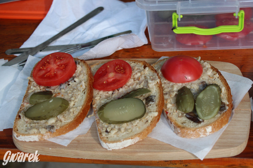 Piknik charytatywny w Nowym Chechle