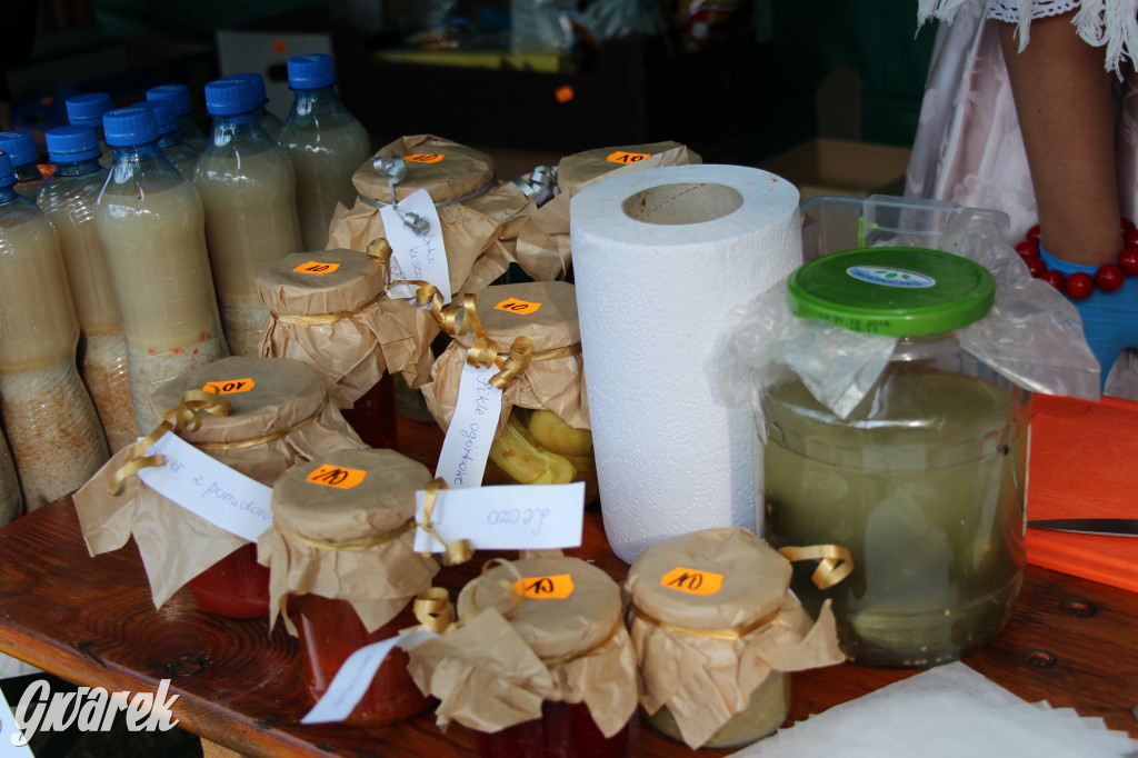 Piknik charytatywny w Nowym Chechle