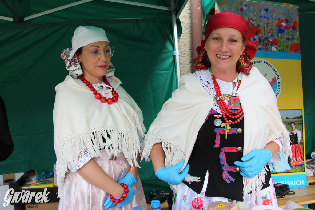 Piknik charytatywny w Nowym Chechle