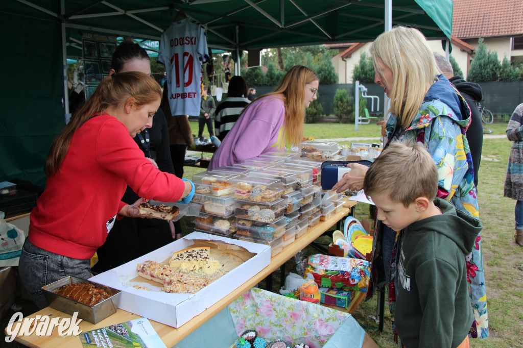 Piknik charytatywny w Nowym Chechle