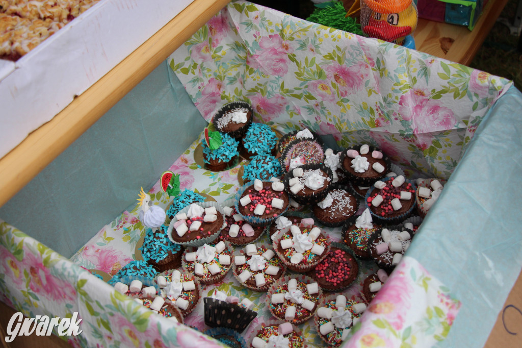 Piknik charytatywny w Nowym Chechle