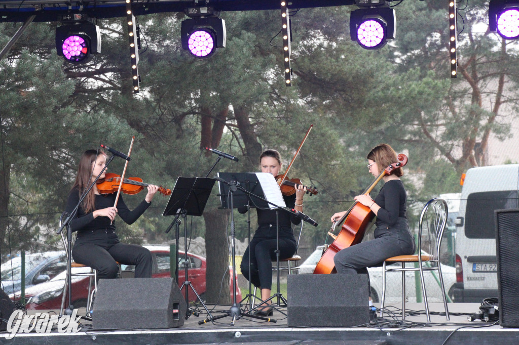 Piknik charytatywny w Nowym Chechle