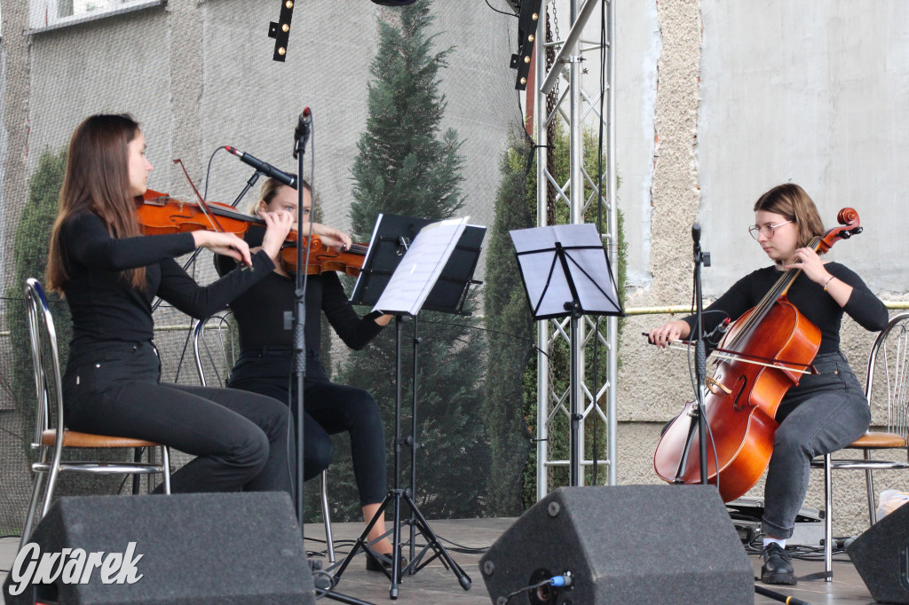 Piknik charytatywny w Nowym Chechle