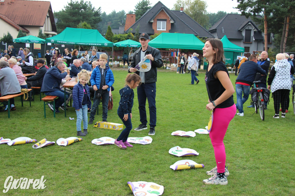 Piknik charytatywny w Nowym Chechle