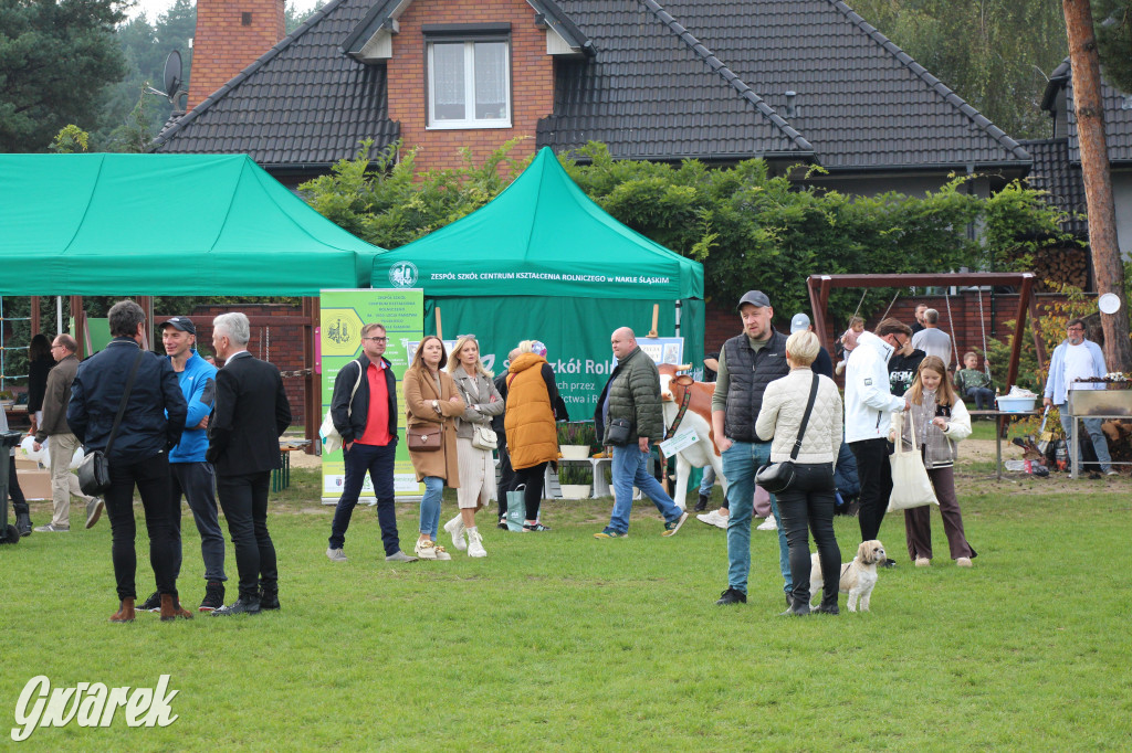 Piknik charytatywny w Nowym Chechle