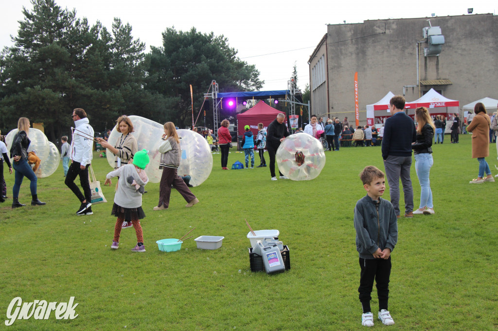 Piknik charytatywny w Nowym Chechle