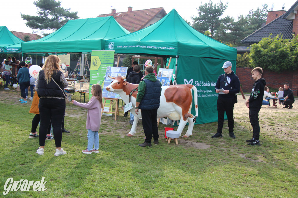 Piknik charytatywny w Nowym Chechle