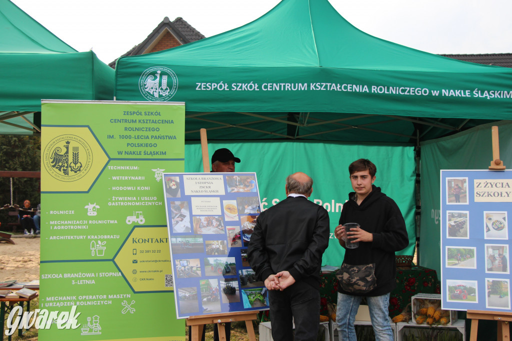 Piknik charytatywny w Nowym Chechle