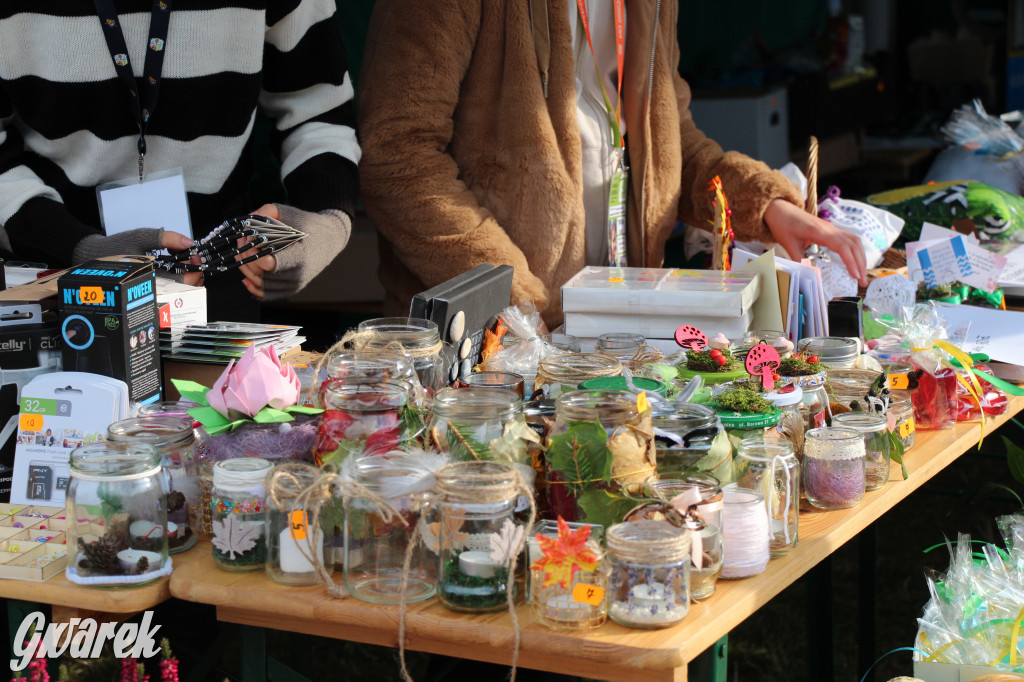 Piknik charytatywny w Nowym Chechle