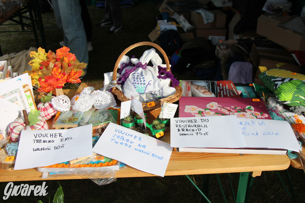 Piknik charytatywny w Nowym Chechle