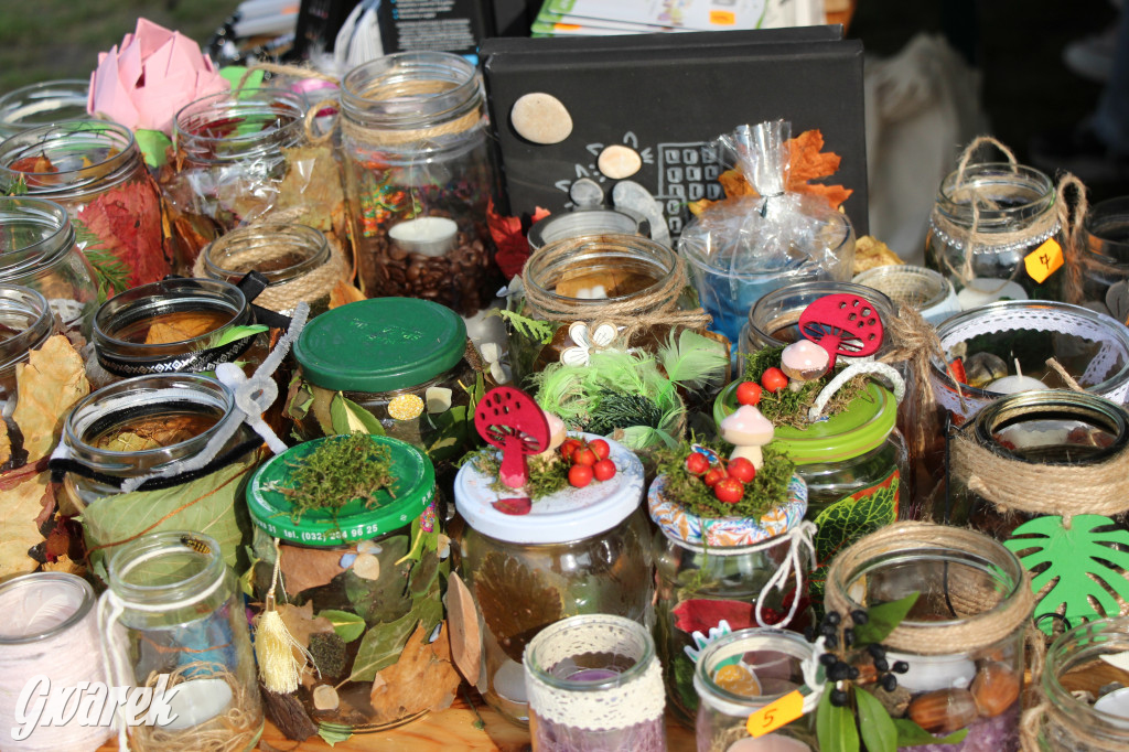 Piknik charytatywny w Nowym Chechle