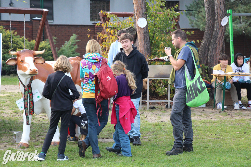 Piknik charytatywny w Nowym Chechle