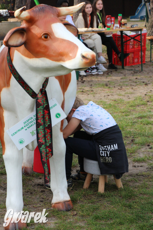 Piknik charytatywny w Nowym Chechle