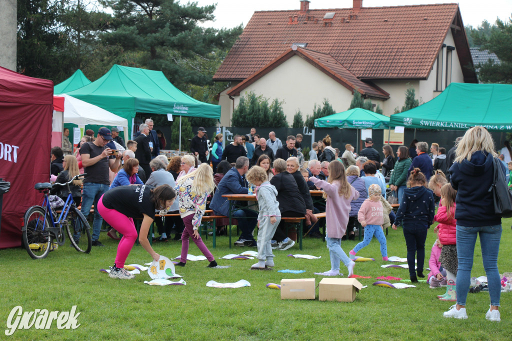 Piknik charytatywny w Nowym Chechle