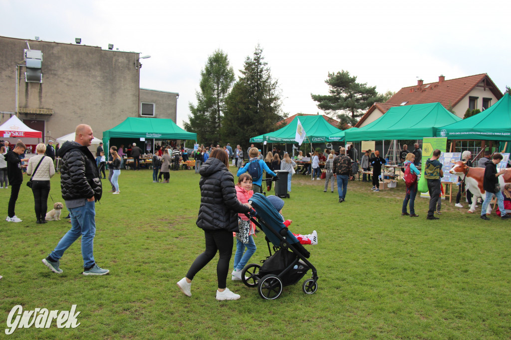 Piknik charytatywny w Nowym Chechle