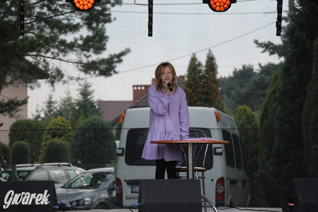 Piknik charytatywny w Nowym Chechle