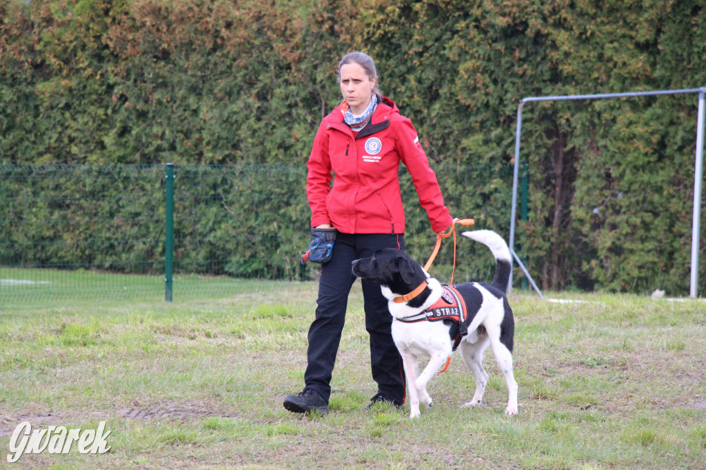 Piknik charytatywny w Nowym Chechle