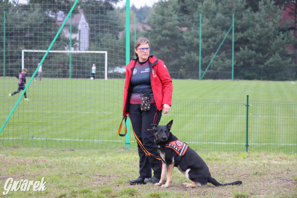 Piknik charytatywny w Nowym Chechle