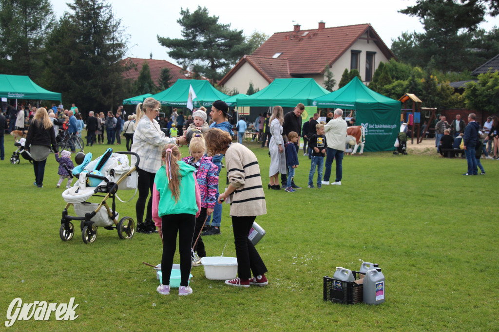 Piknik charytatywny w Nowym Chechle
