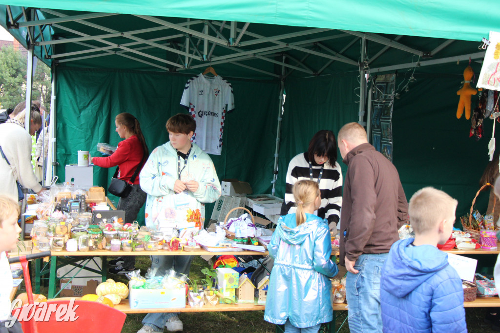 Piknik charytatywny w Nowym Chechle